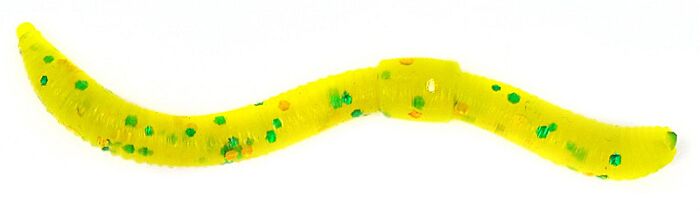 Dendrobaena 60