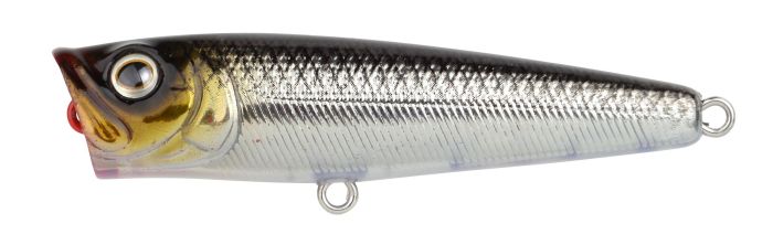Ikiru Pop 60FL
