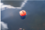 Floating Feeder
